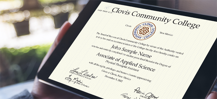 Example of a CeDiploma